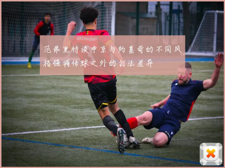 范弗里特谈申京与约基奇的不同风格强调传球之外的打法差异