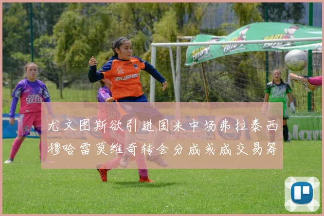尤文图斯欲引进国米中场弗拉泰西穆哈雷莫维奇转会分成或成交易筹码
